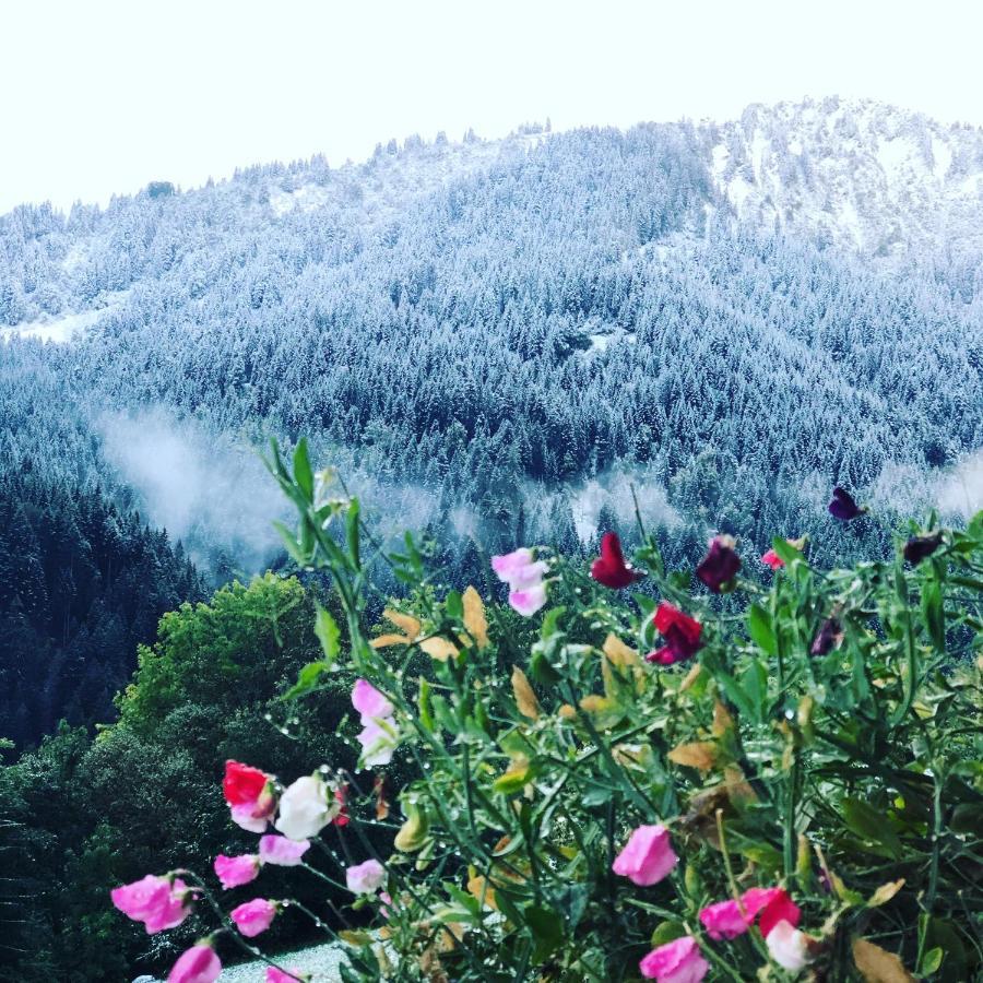 'Petite Ferme Les Bouts' Apartment, Sleeps 6, Nr Morzine La Cote d'Arbroz Kültér fotó