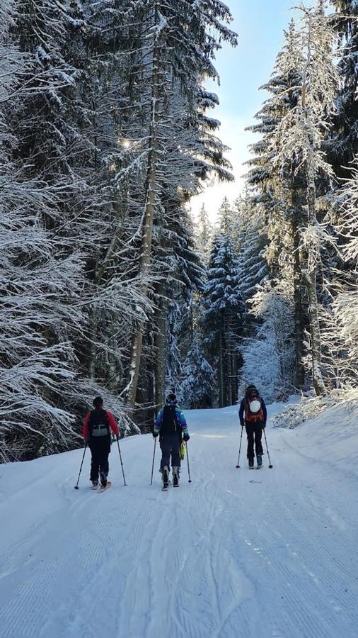 'Petite Ferme Les Bouts' Apartment, Sleeps 6, Nr Morzine La Cote d'Arbroz Kültér fotó